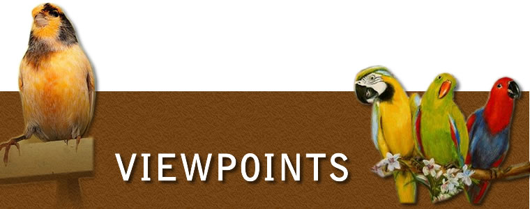 Viewpoints Viewpoints Header