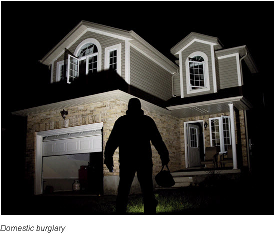 Domestic burglary